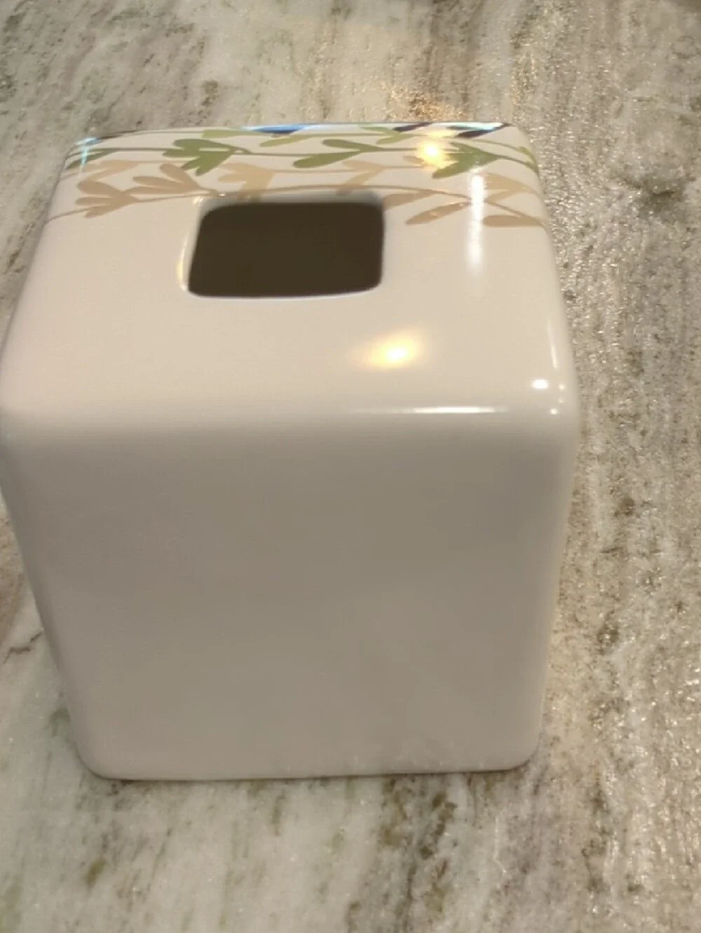 Neutral Ceramic Tissue Box Cover with Green and Brown Vine Design